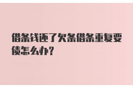 三明为什么选择专业追讨公司来处理您的债务纠纷？